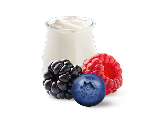 Yogurt Bosco